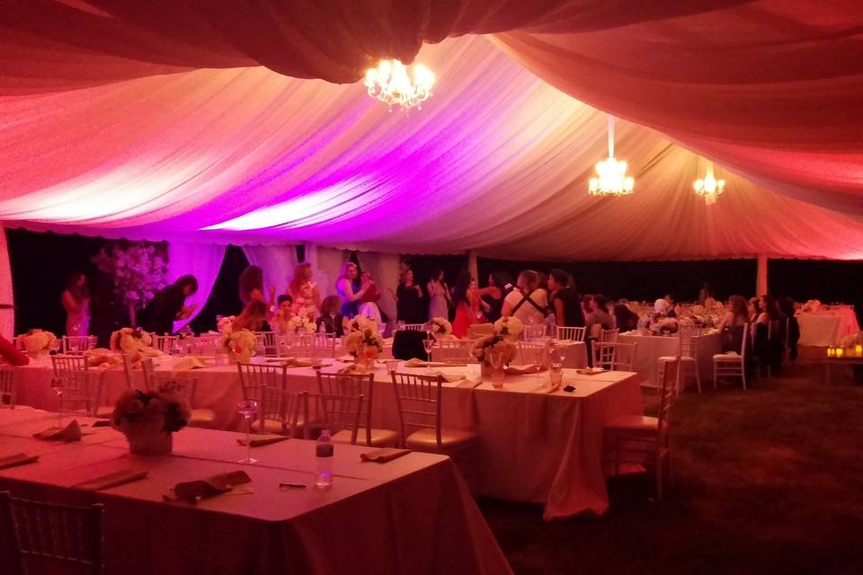 Tent Wedding Reception