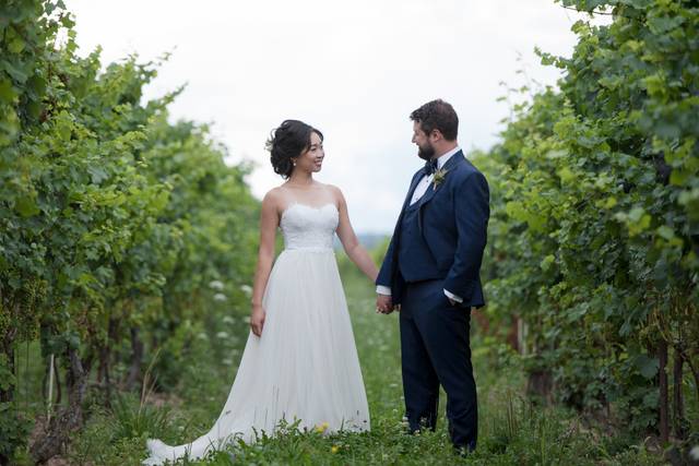 Vineyard