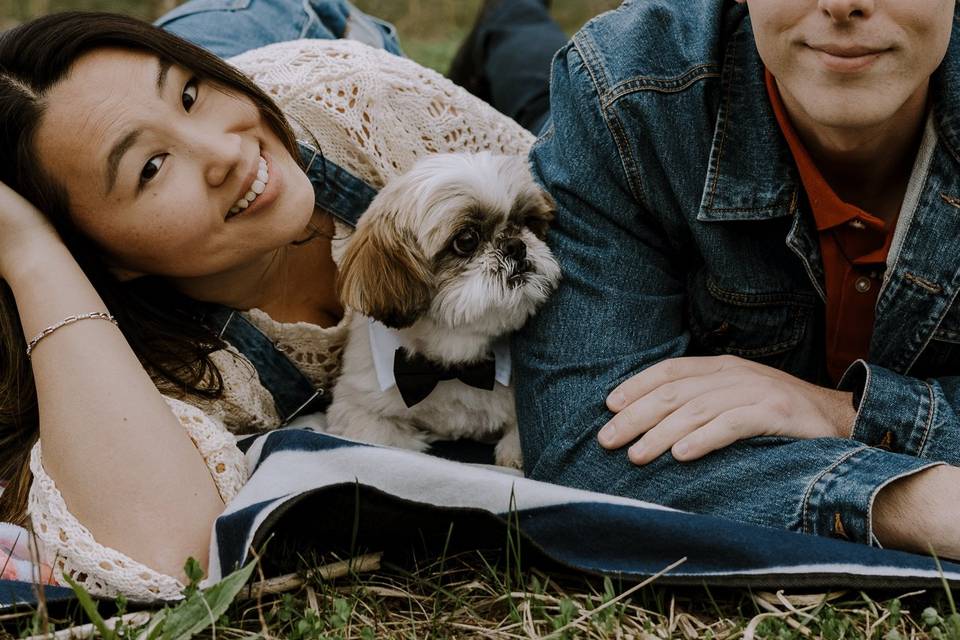 Engagement with puppy