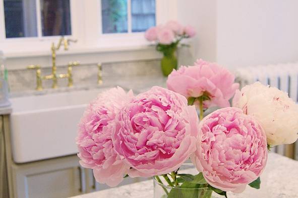 Peony Flowers