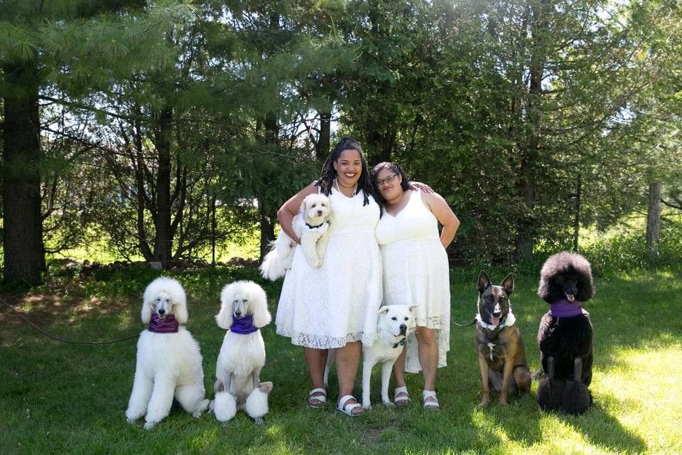 Happy couple and furry friends