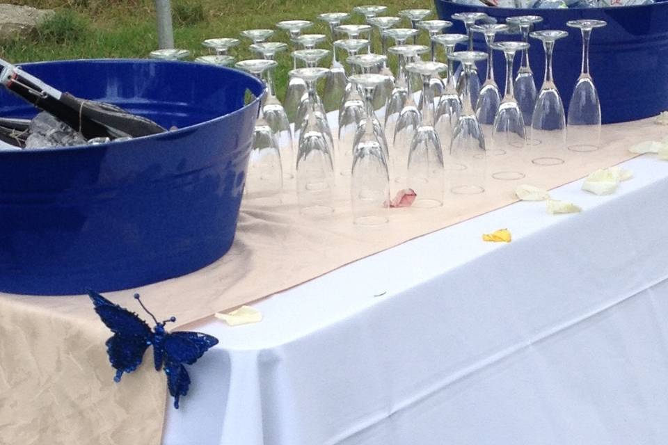 Wedding Champagne Toast