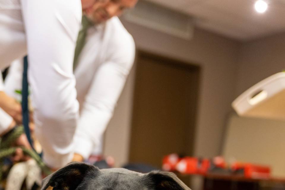 Ring Bearer