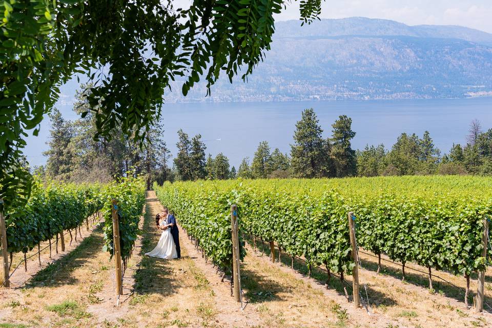 Vineyard portrait