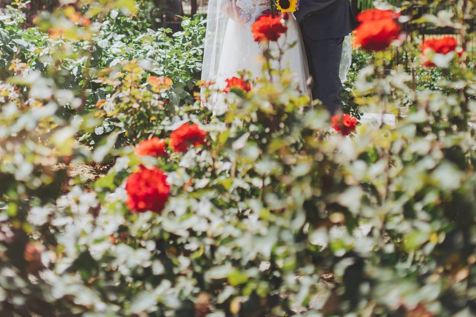 Bride and groom