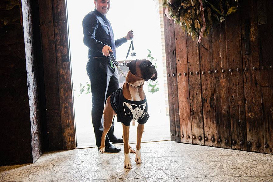 Wedding Pet Photography