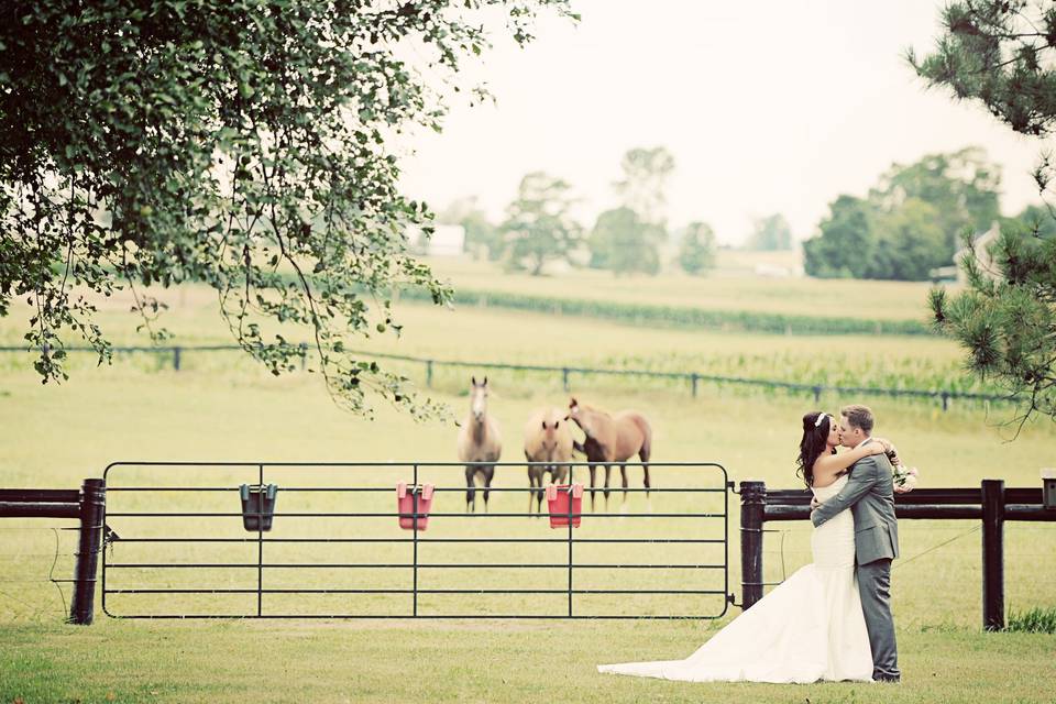 Country Wedding