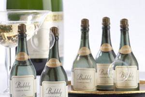 09-Bubbly Champagne Bubbles.jpg