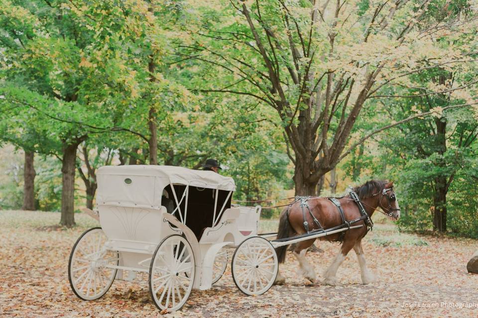 Carriage