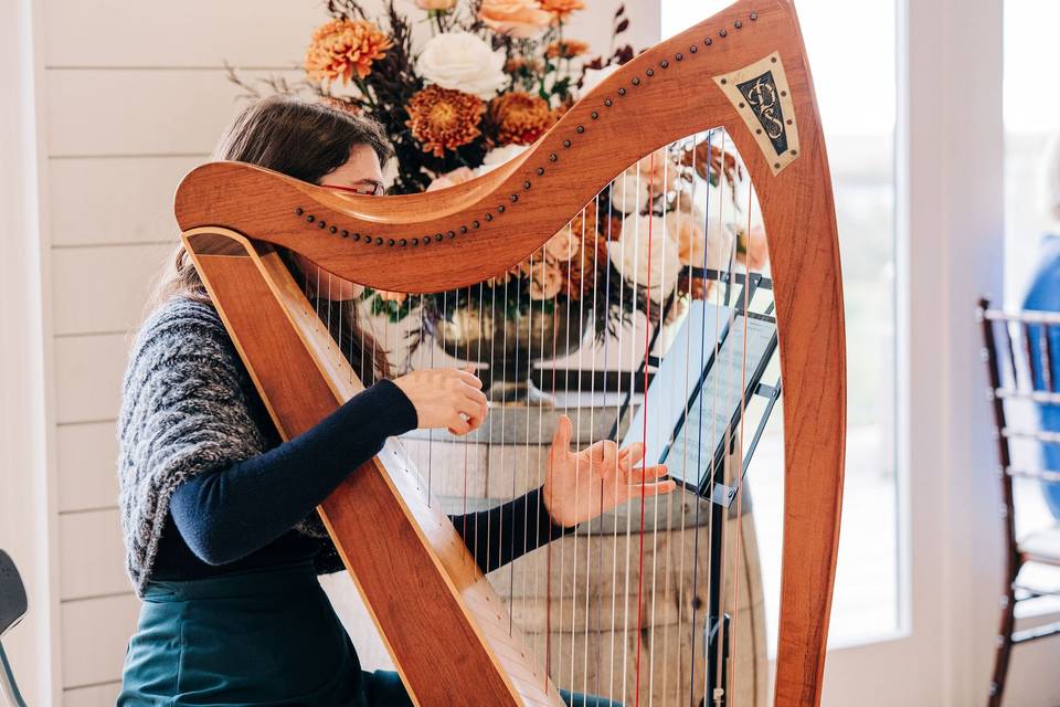 Isabelle Gagnon - Harpist