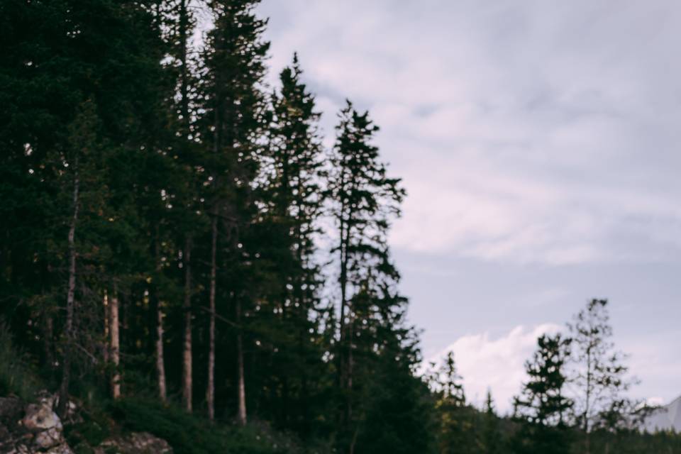 Banff Engagement