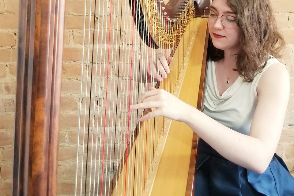 Playing the harp