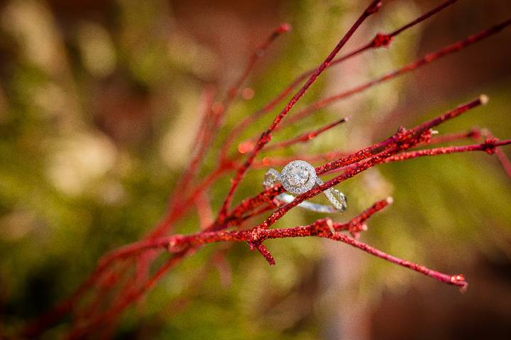 Toronto Wedding Photography