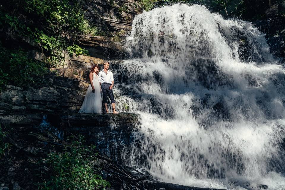 The Wedding Hive