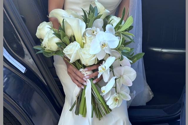 White Rose Floral and Decor