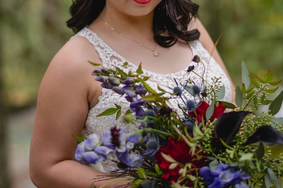 Whistler Elopement