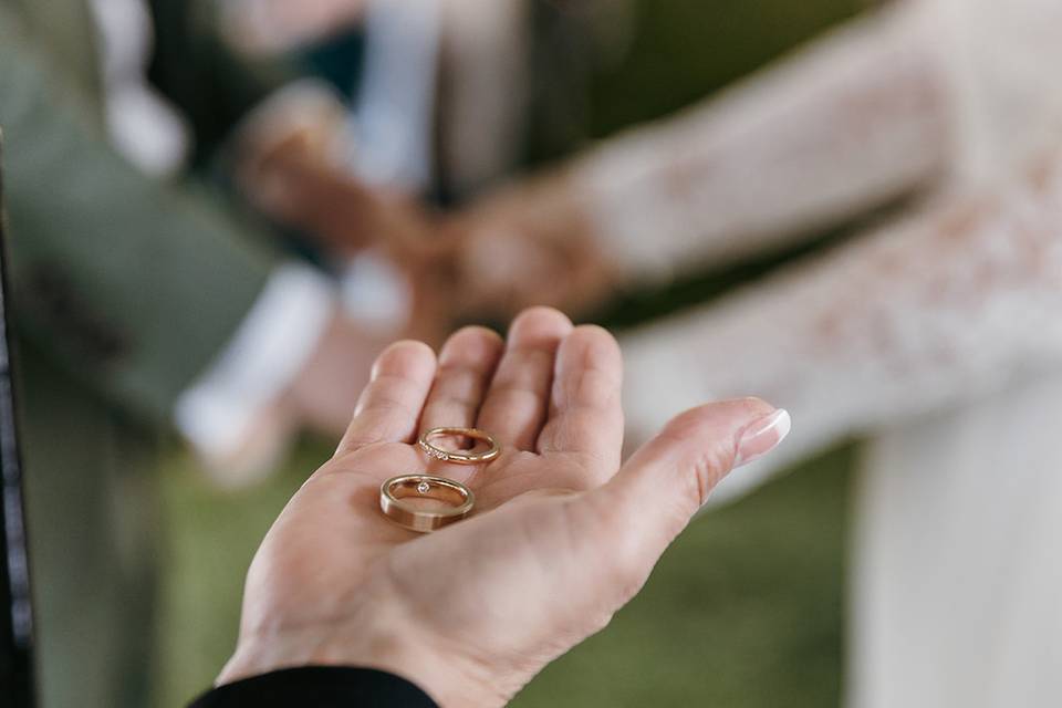 These Rings symbolize Love