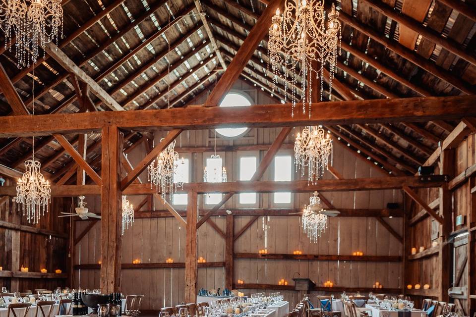 Amanda + Mathieu-June 7, 2025