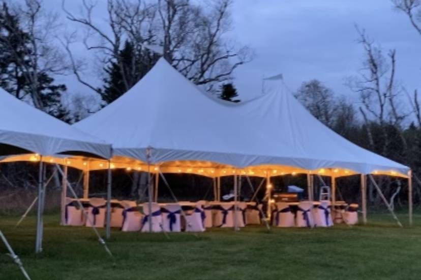 Standing Tall Tents