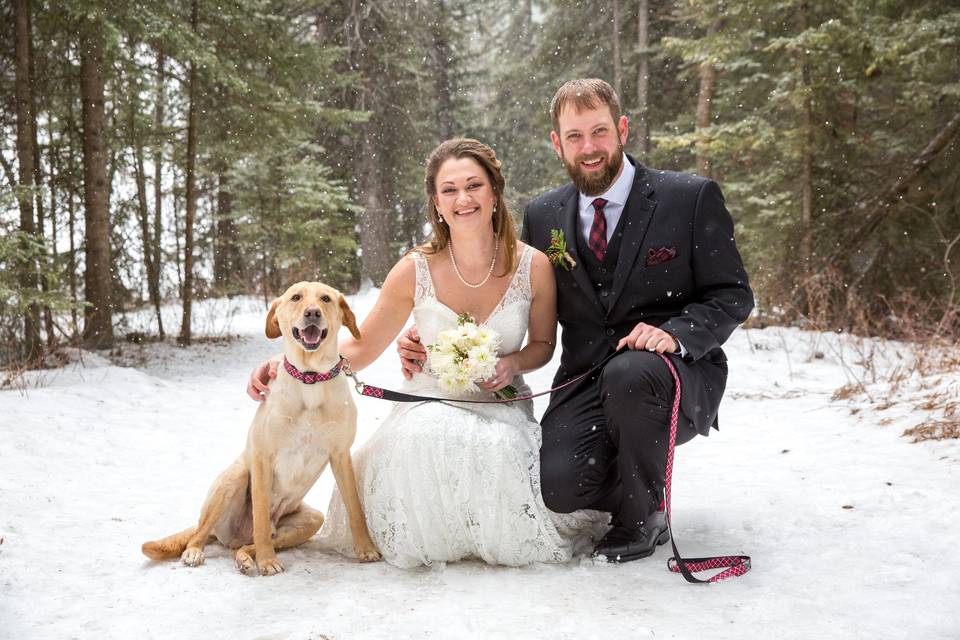 Groom Dog