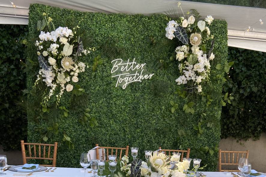 Boxwood backdrop