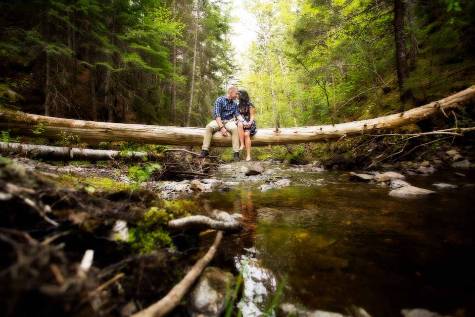 Kiss on a log