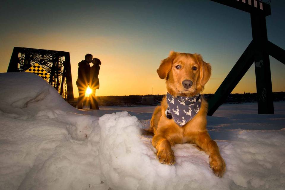 Engagement session retriever