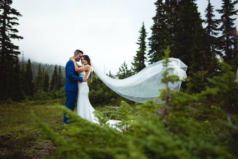 Mt. Washington Wedding