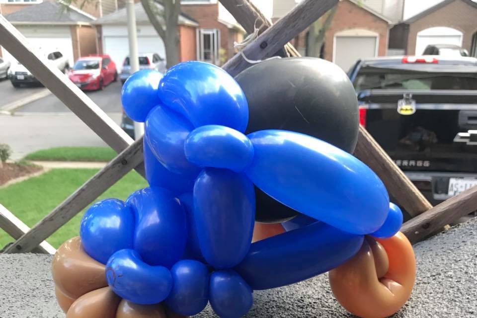 Twist Balloon Design