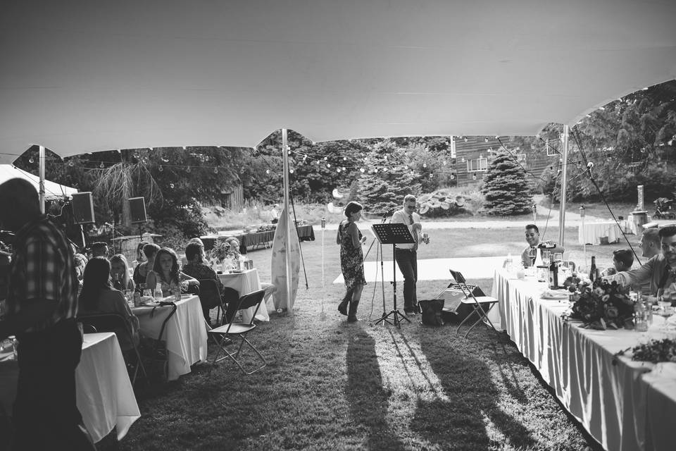 Wedding Tent, Around Trees