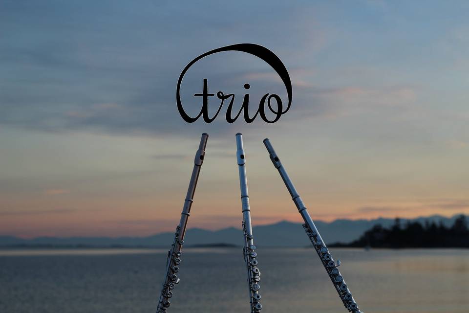 Trio Taco flutes