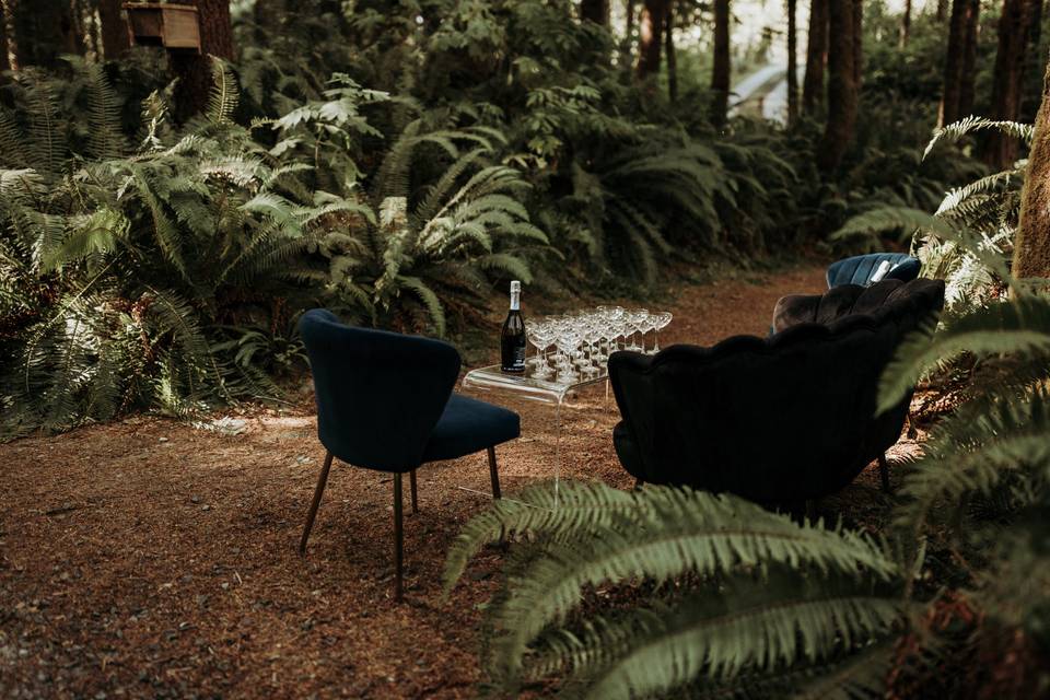 Forest lounge
