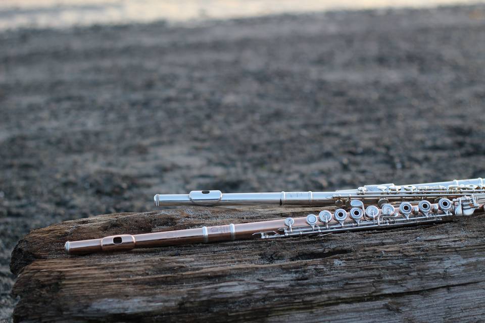 Flutes on the beach