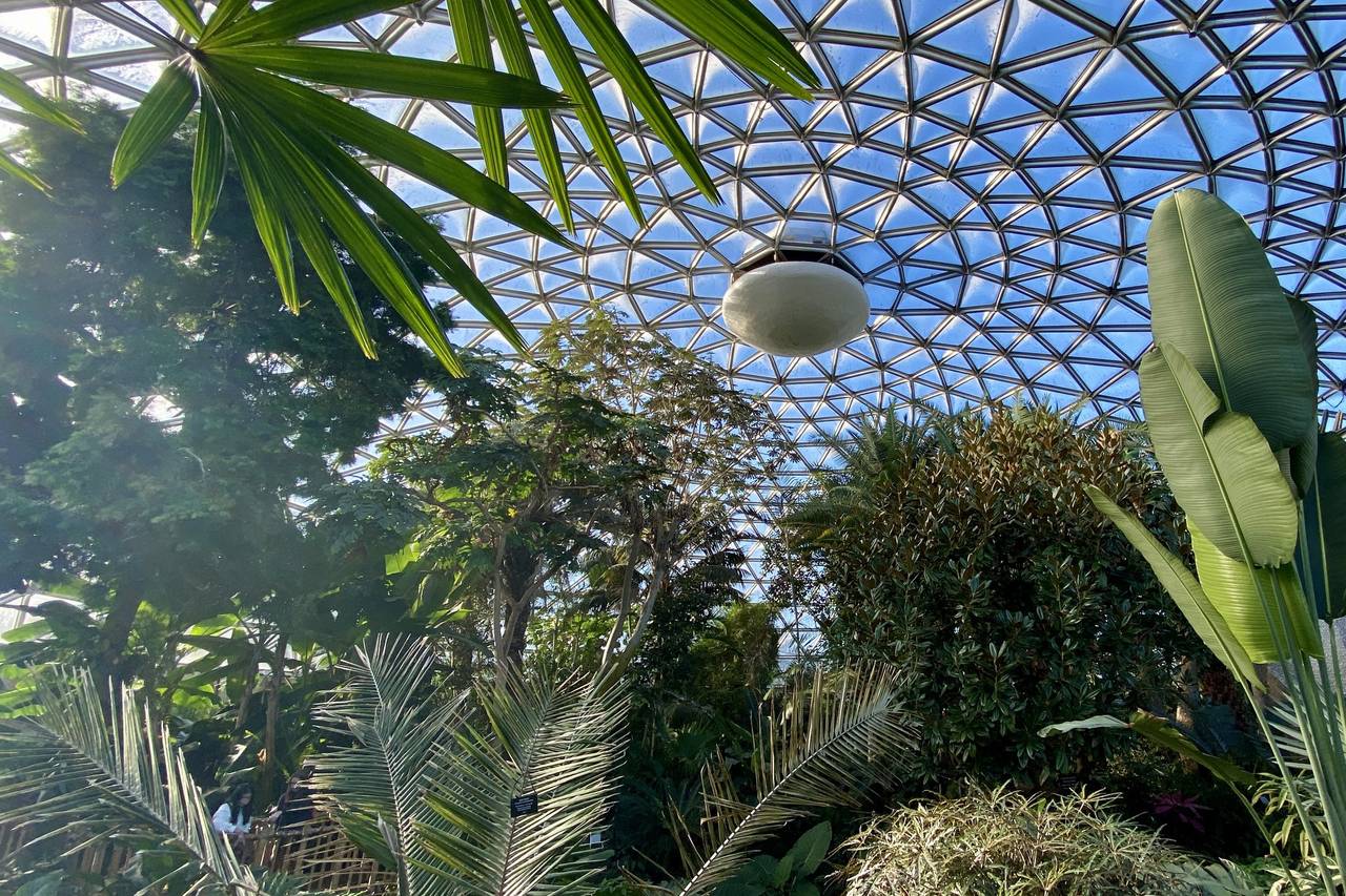 Bloedel Conservatory - Venue - Vancouver - Weddingwire.ca