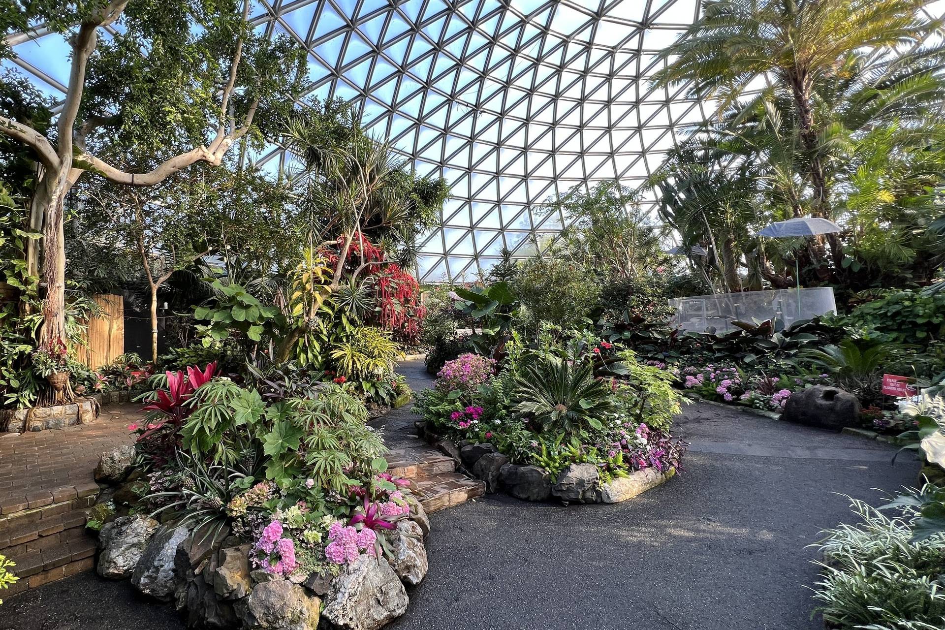 Bloedel Conservatory - Venue - Vancouver - Weddingwire.ca