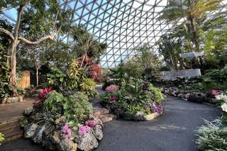 Bloedel Conservatory