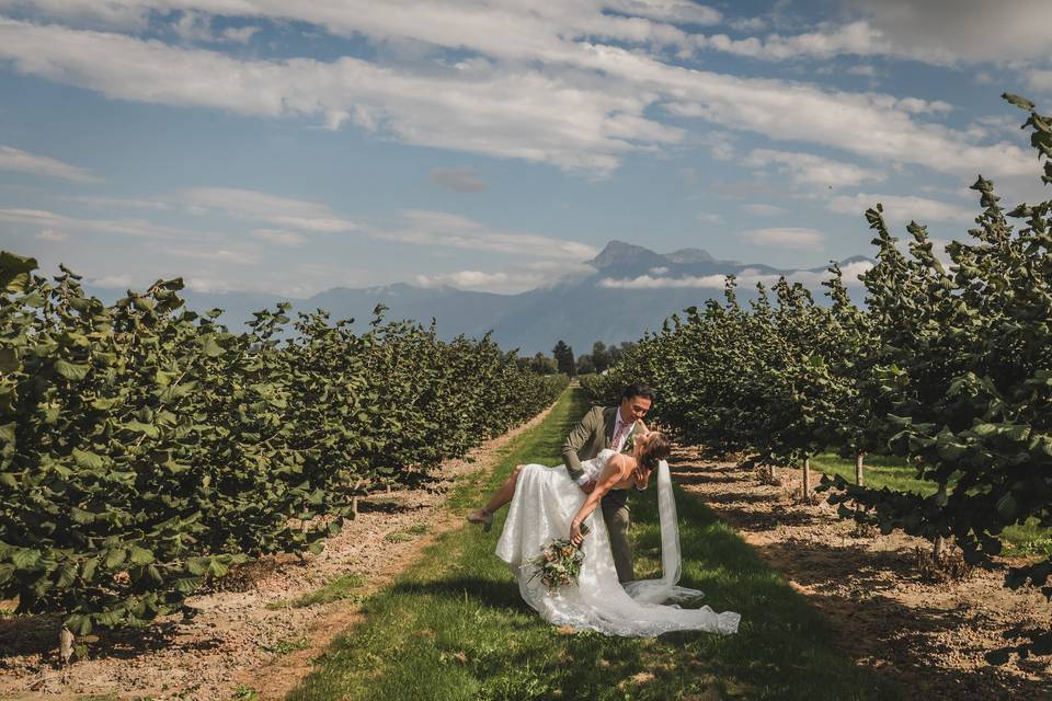 Mt Cheam and Hazelnut Farm