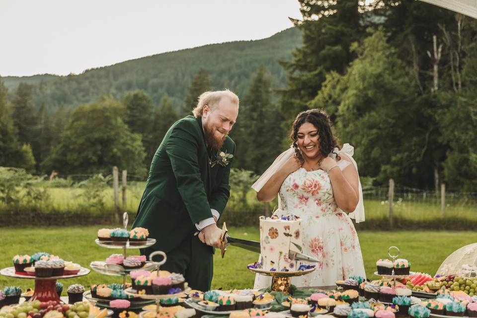 Cake Cutting
