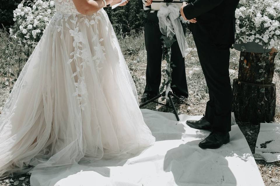 Crowsnest Pass Wedding