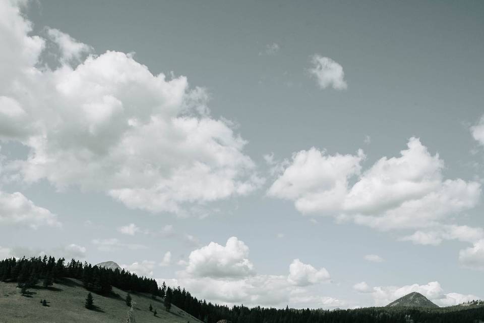 Crowsnest Pass Wedding