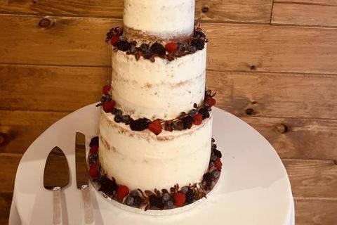 Semi Naked cake with fruits