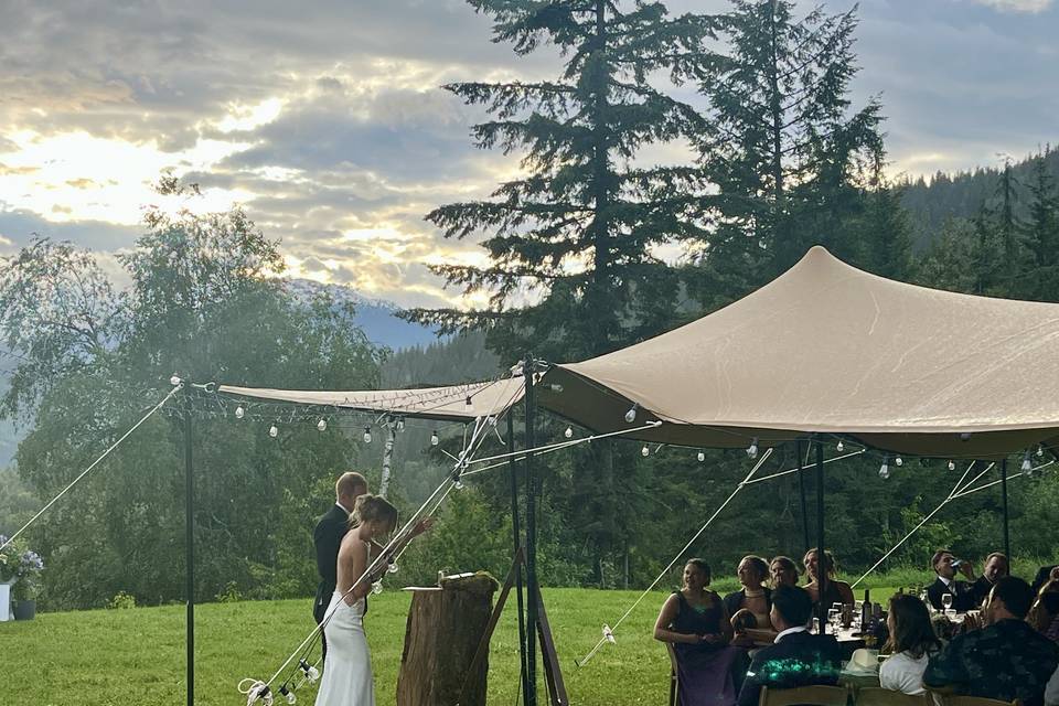 Just hitched!