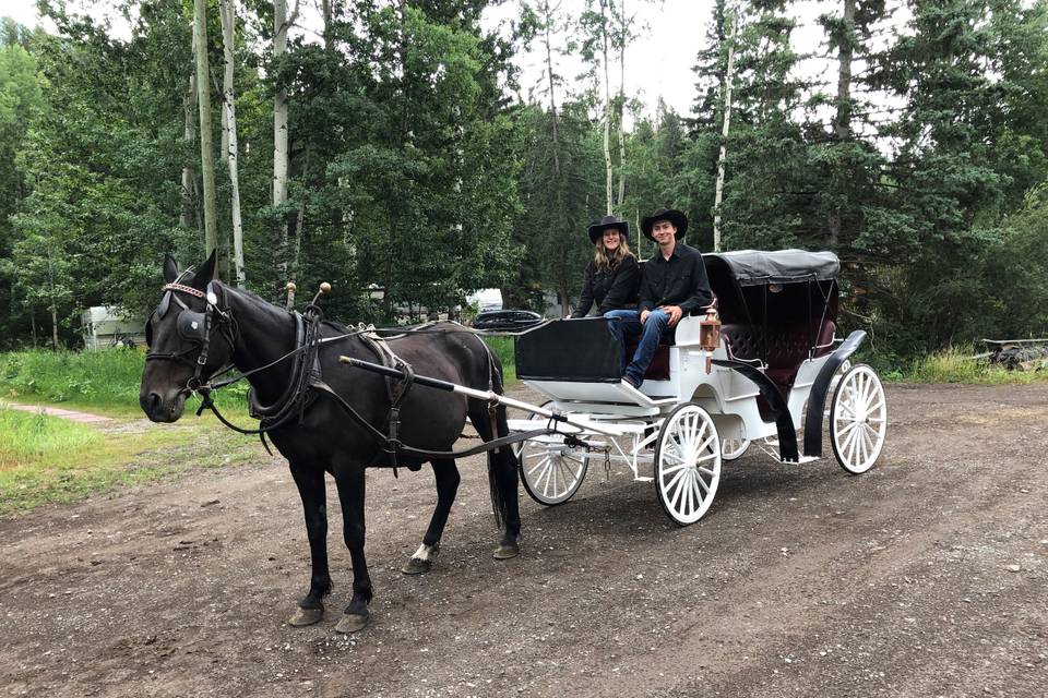 Carriage