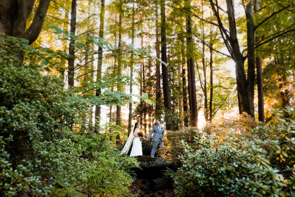 Couple walks in the forest