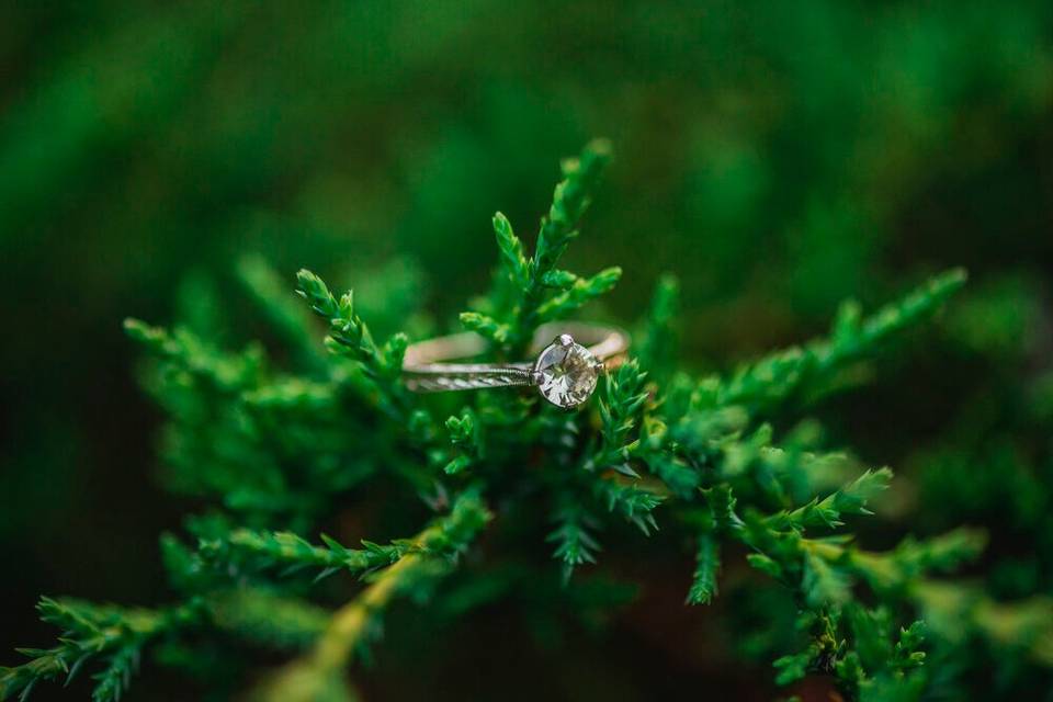 Engagement Photography Toronto