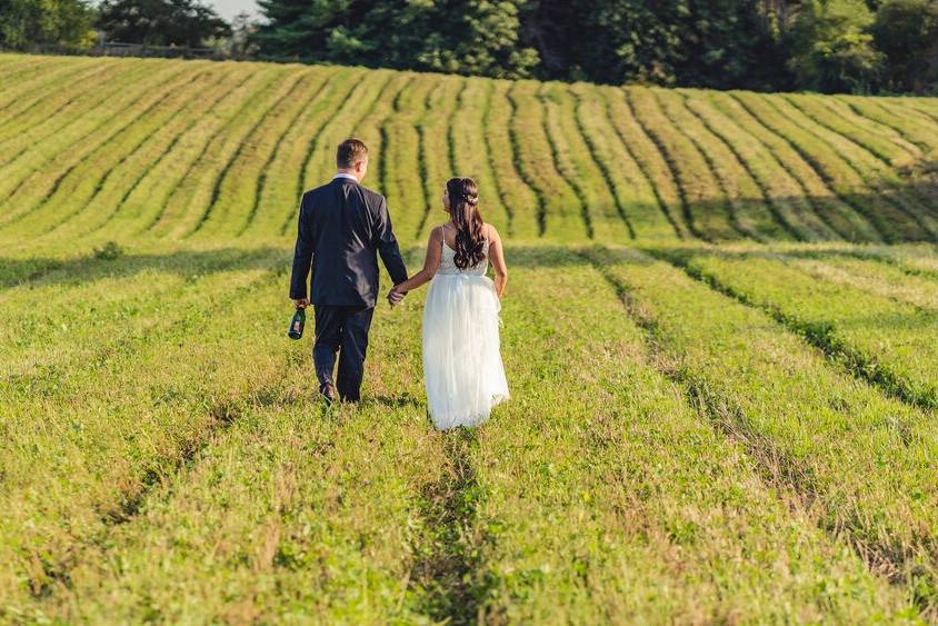 Wedding Photography Toronto