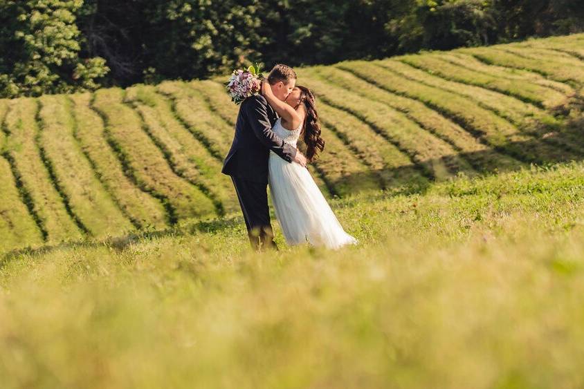 Wedding Photography Toronto