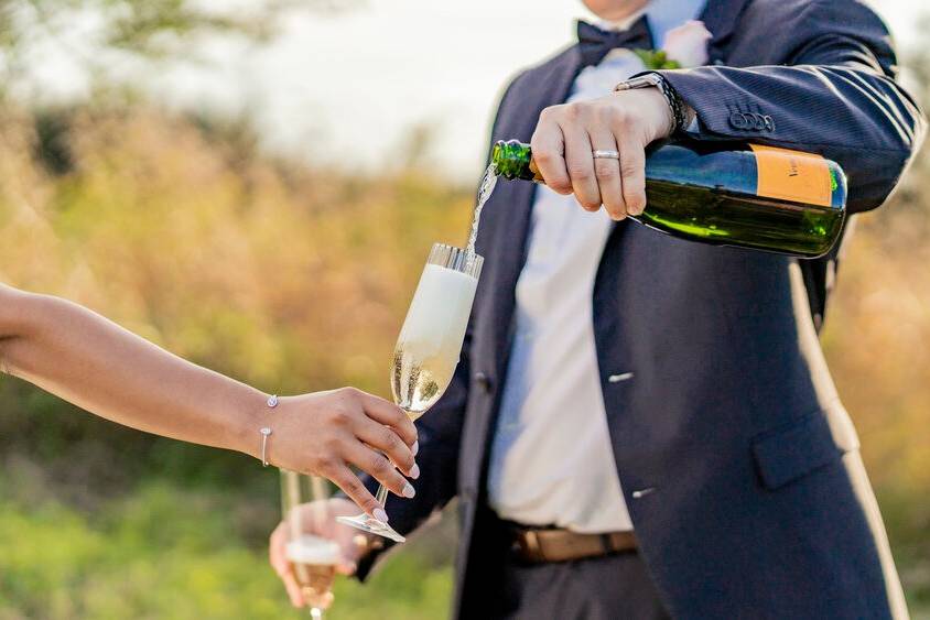 Wedding Photography Toronto