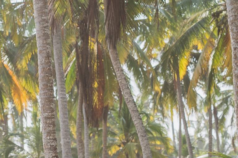 Engagement Photography Toronto