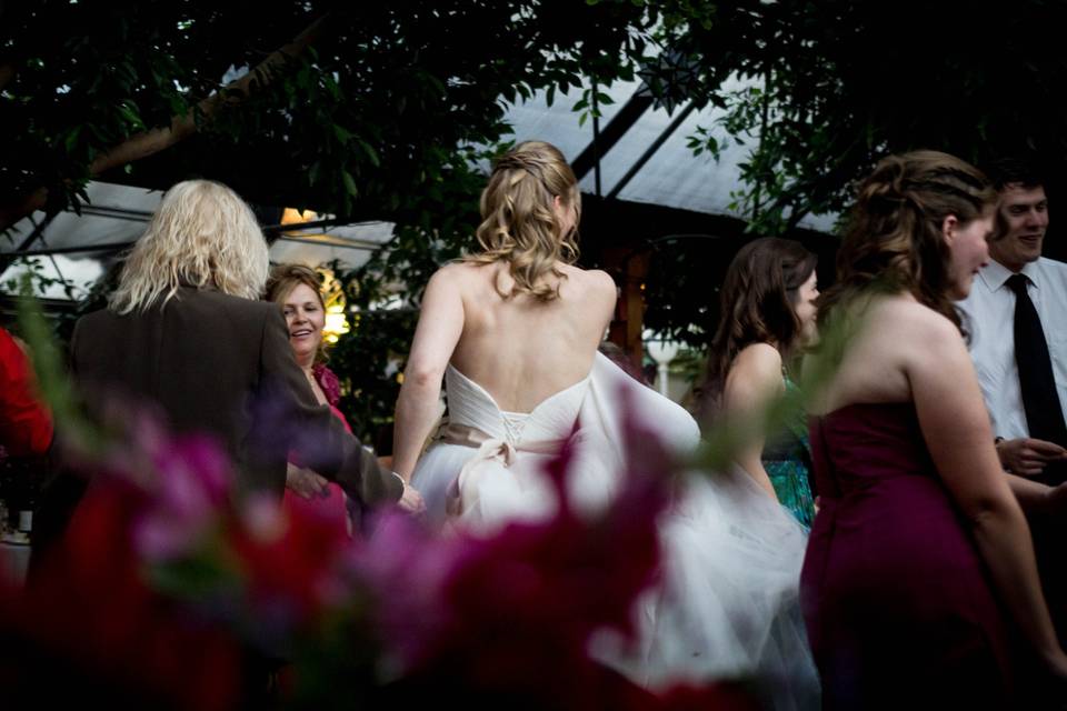 Through the flowers